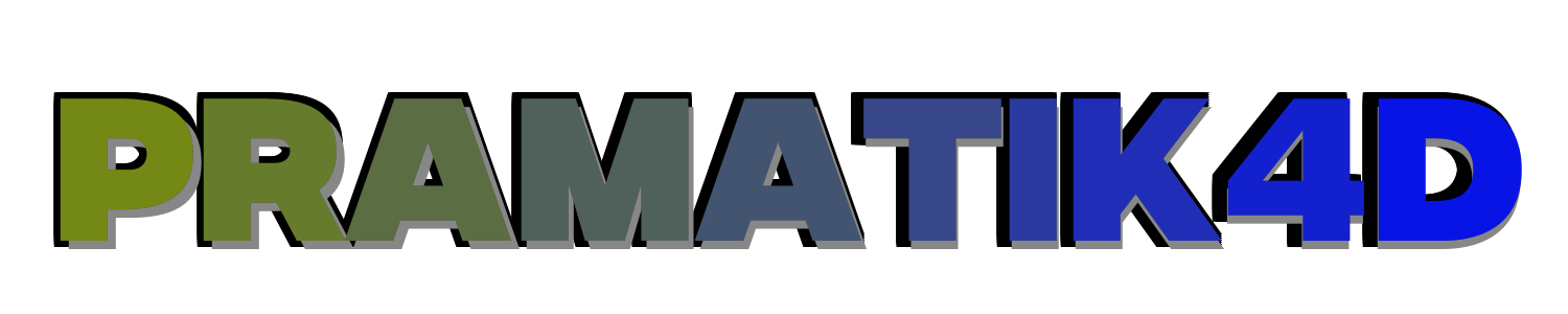 PRAMATIK4D Logo